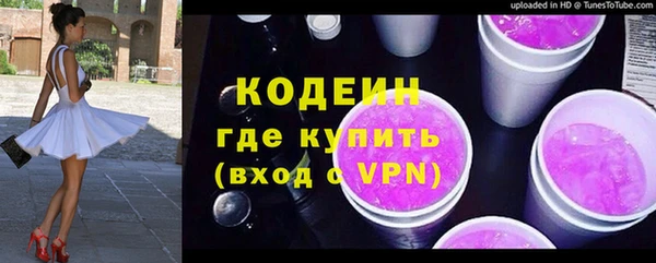 индика Коряжма