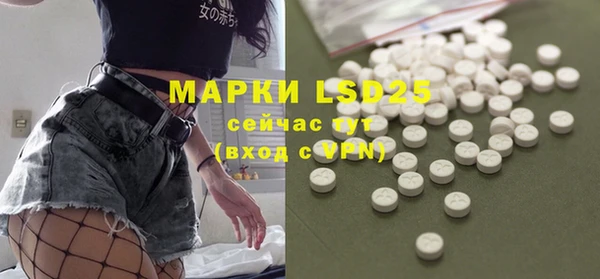 apvp Корсаков