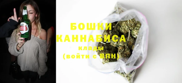 индика Коряжма