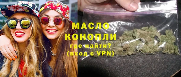 индика Коряжма