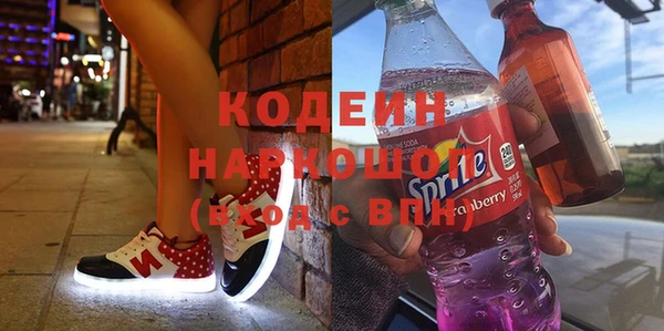 индика Коряжма