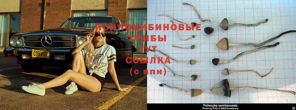 apvp Корсаков