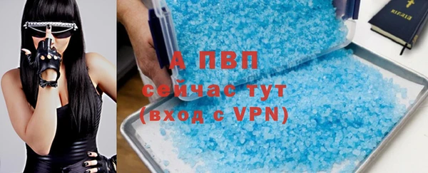 индика Коряжма