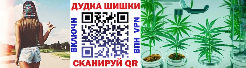 даркнет сайт  Мегион  дарк нет наркотические препараты  Шишки марихуана SATIVA & INDICA  OMG зеркало 